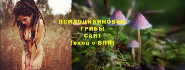 первитин Богданович