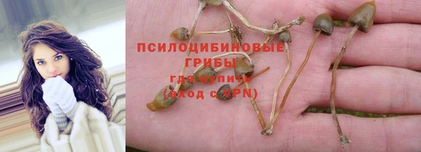 первитин Богданович