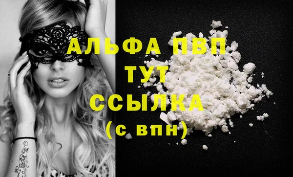 первитин Богданович