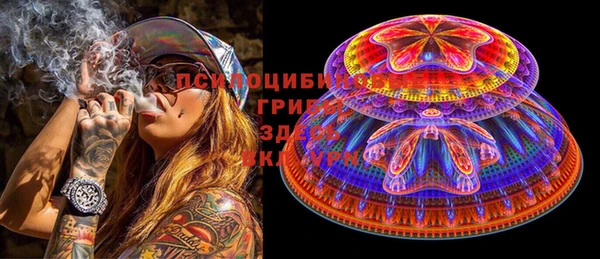 первитин Богданович