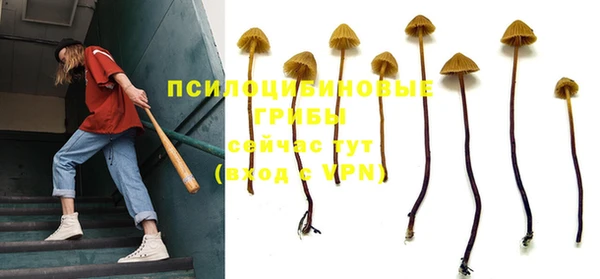 гидропоника Богородск