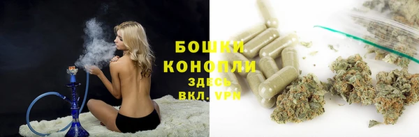 первитин Богданович
