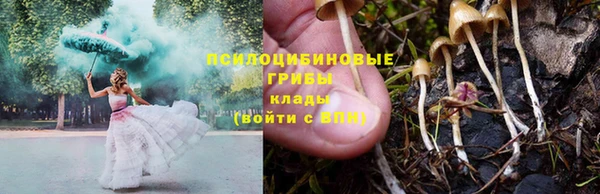 первитин Богданович