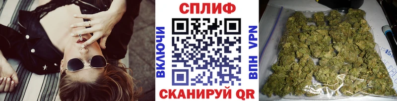 Бошки марихуана Amnesia  гидра онион  Пионерский  купить наркотики сайты 